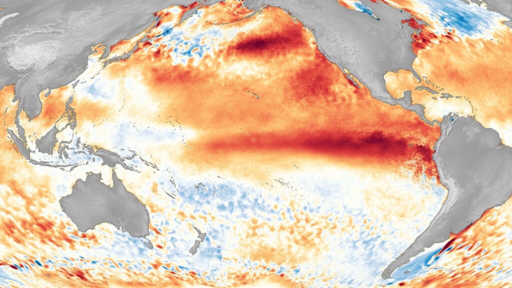 El Niño se fortalece y la ONU advierte un aumento del calor a escala mundial XjmVve85Y3T 9Fw66A6wvzKpjt0PL T2v ZONTOq42OKWC8LsLMjWGoAakEJcmIsQXf 5RBtFeVhLYvozjJLzNRn 9oEzmWzaaqJ9xS8yppMjvlFi4wKwMH1bYCEk YhfNCJfd4U8qcNUkqZcNfl1evjj3obQcb 3Dti8uLSDym5 R 778hja3G EVd7NMTb 1024x576