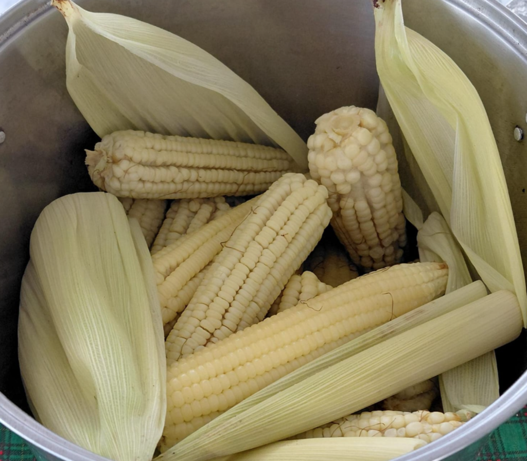 Paraíso de Osorio se llena de sabor con su 14.º Festival del Elote whatsapp image 2026 08 27 at 12.17.19 pm (2)