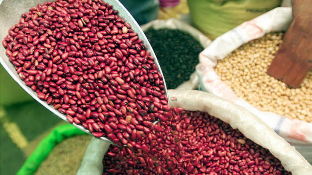 El consumo de maíz en los hogares salvadoreños supera los 9 millones de quintales al año Destacada Wordpress 6 1024x576