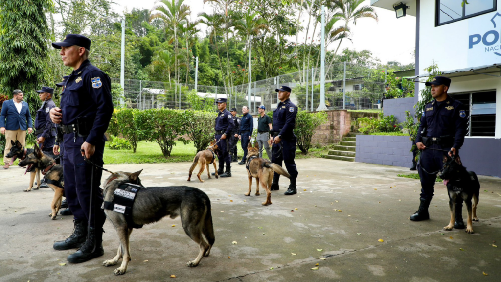 Estados Unidos dona seis caninos a la PNC para combatir el narcotráfico y otros delitos caninos